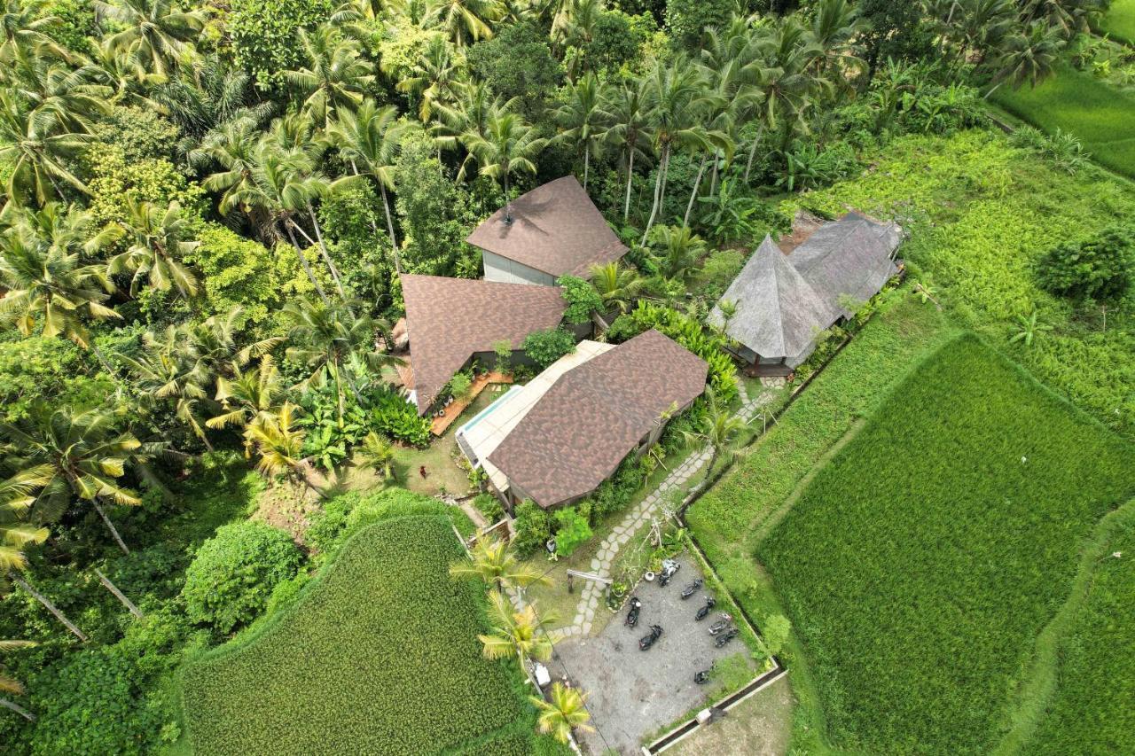 Casa Pohon Ubud מראה חיצוני תמונה